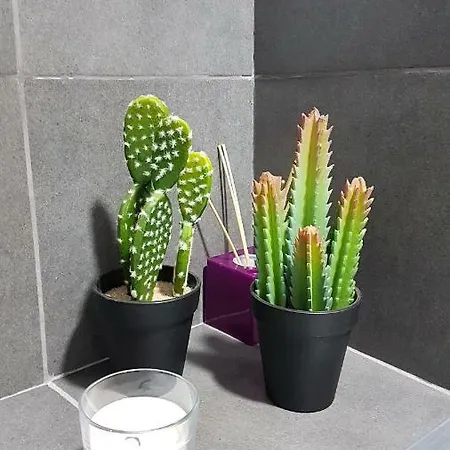 Апартаменты Entrevias - Con Garaje Y Wifi *