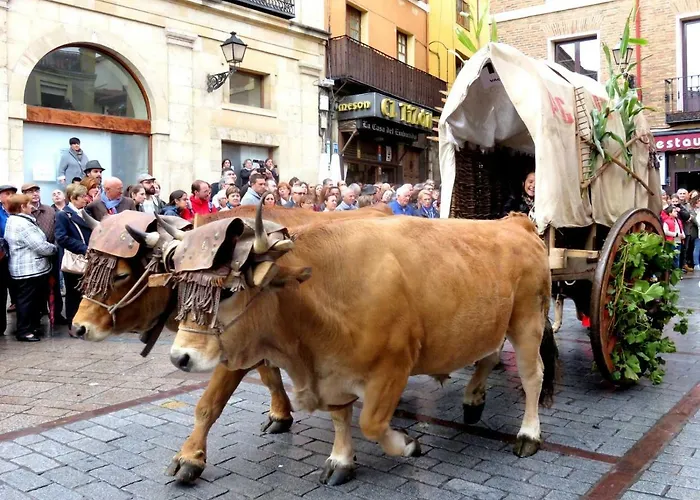 Entrevias - Con Garaje Y Wifi