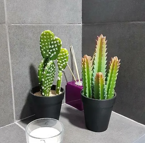 Appartement Entrevias - Con Garaje Y Wifi *